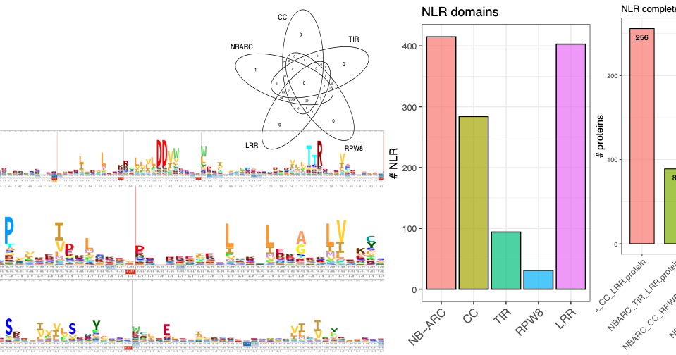 NLRextract